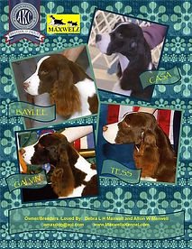 Casanova, Galvin, Tess and Baylee's Group Adv