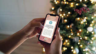 smartphone mit Baum.jpg