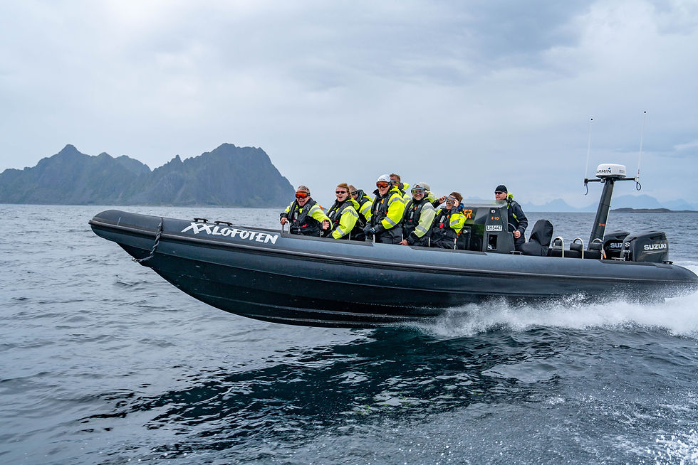 rib xxlofoten web.jpg