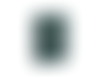 CONGRATULATIONS FROM THE PRESIDENT ON THE CONSTITUTION DAY OF THE REPUBLIC OF VESTINA