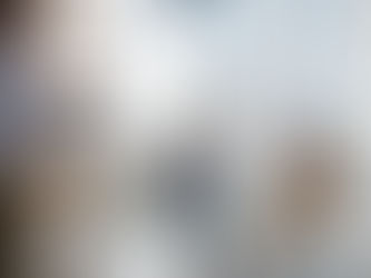 Interview of the President of the Republic of Vestina to the «Sovereign Vestina» News Agency