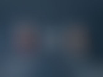 Встреча с Главой Отдела государственного аудита ГЭиФ Зомби Фермы Маковецким П.Е.