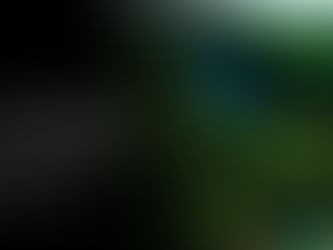 Отчёт о ходе восстановления  лесного хозяйства «Shèrübaı Nũra»