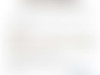 Decree of the President of the Republic of  Vestina No. 11