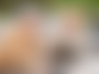 Неформальная встреча с известной художницей Царёвой Нажией Альфредовной