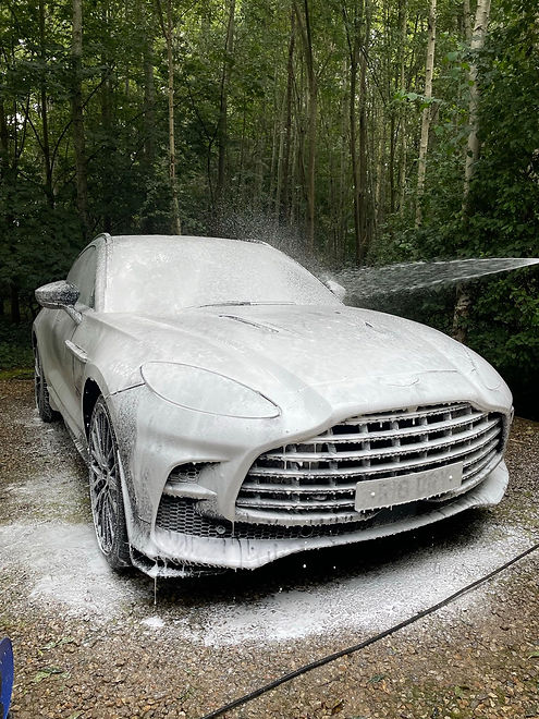 623703b6-2a64-4008-9555-1161d3fd0d47 2.JPG