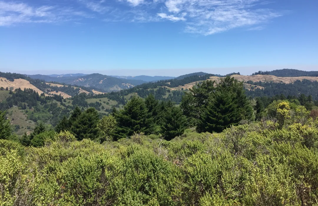 Intermediate Hike: Pomo Canyon Trail to the Red Hill Loop