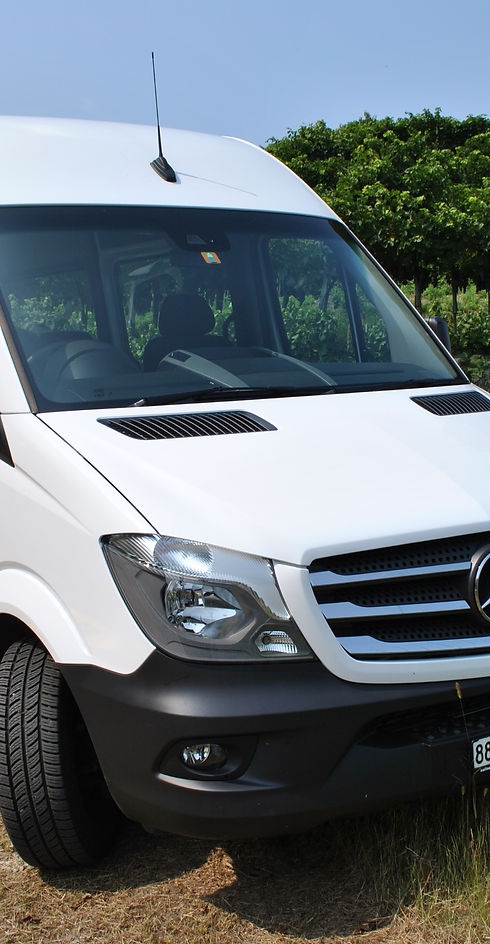 MINIBUS VAN VIP LUGANO RENTAL