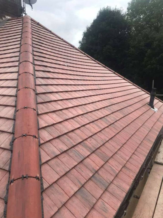 Platinum Dry Ridge 03.jpg