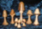 #1 - Various Mushroom shapes