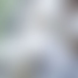 Automotive and Auto Components Industry Manufacturing Wastewater Treatment Systems | YASA ET