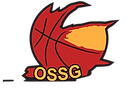 sannois_saint_gratien-removebg-preview.png