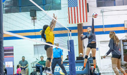 Volleyball-20