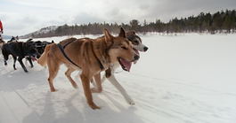 Screenshot 2023-07-14 at 12.06.30 PM.png