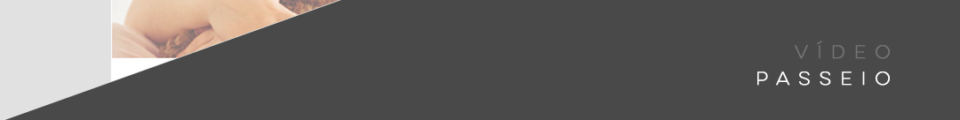 BRAVO-PORTFOLIO-CASA-PALHANO_13.png