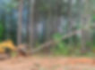 land-clearing.jpg