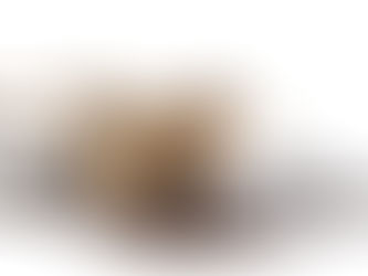 The Timeless Appeal of Gucci Thong Sandals