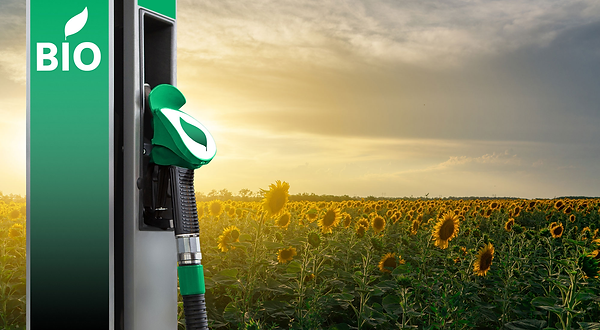 Los biocombustibles jamás serán la solución: Expertos de la Universidad Europea lo dejan claro 4 Motor16 2f94c4 d07f73b35fb14fdeaab8db40db1d058e~mv2 Motor16