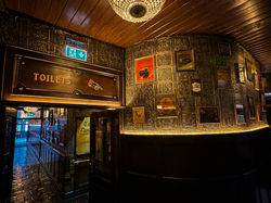 best-dublin-ireland-bar-venue-dohenny-and-nesbitts-irish-pub-tourist-attraction-hallway-1.