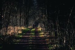 Lumberjack D1-17.jpg