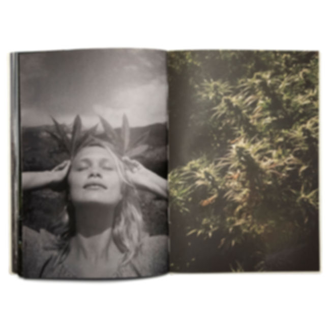 ‎wandering ‏‏‎ ‎& ‏‏‎ ‎learning