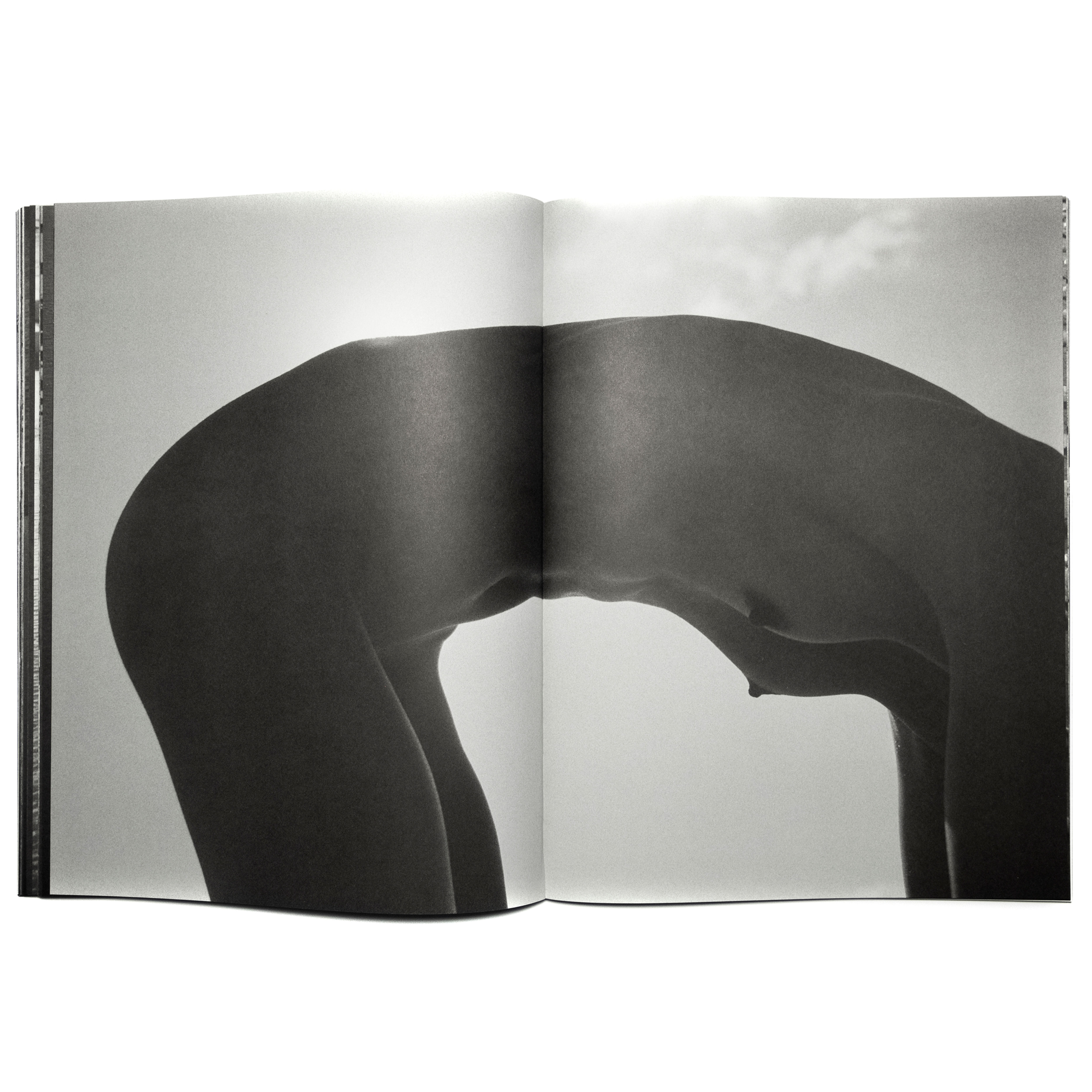 pierrot ‏‏‎ ‎— ‏‏‎ ‎clay