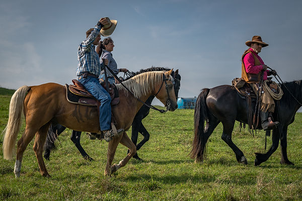Steffen Liebhold, thomas Lerner, Kerstin Minks 