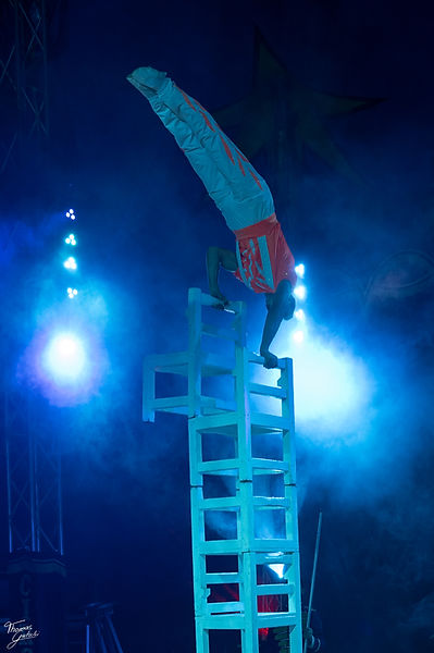 Circus Alfons William