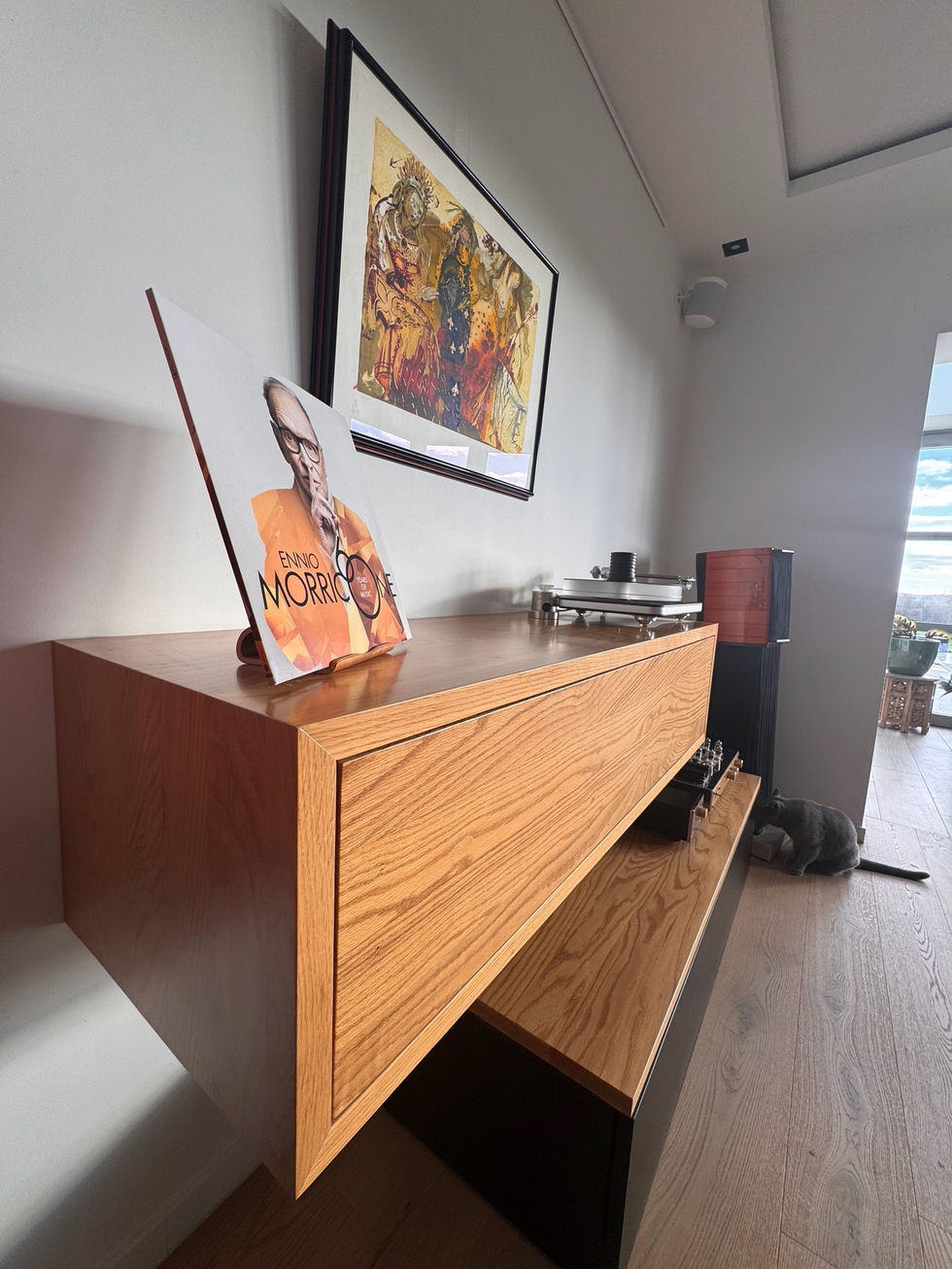 Hi-fi furniture - 14