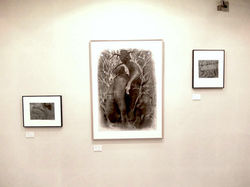 Galerie Miyawaki, Japon