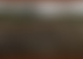 Title: Field Sown with Pearls. Picture of a cultivated field with pearls thrown like seeds across the field.