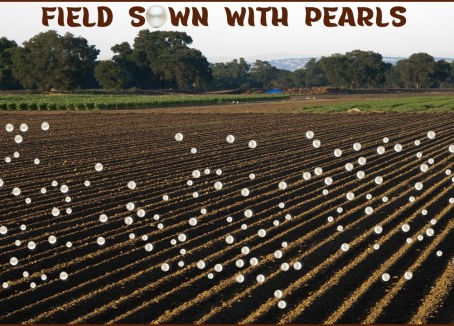 Title: Field Sown with Pearls. Picture of a cultivated field with pearls thrown like seeds across the field.