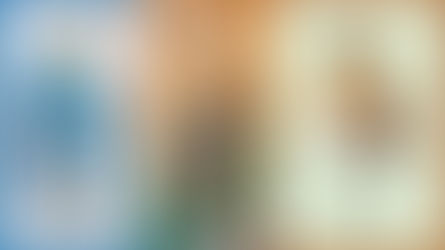 Title: Human Nature of Christ.  The image is in three columns. First column is picture of Mary, mother of Jesus. Words typed at the bottom of the image: Immaculate Conception? 2nd column: Image of Jesus. One hand holding the hand of God (from heaven) and the next hand, the people of earth. He is a ladder between heaven and earth. 3rd column: Depiction of Jesus with arms spread open. Typed at the bottom of image: Human Nature of Christ?