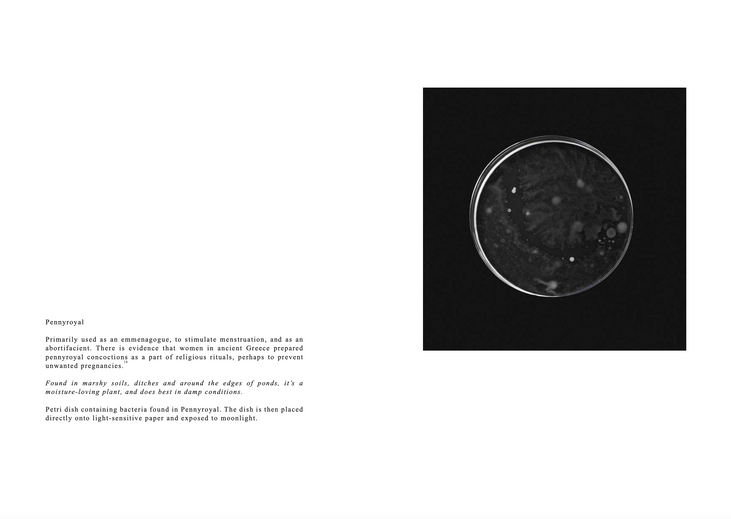 Screenshot 2022-04-24 at 09.31.42.png