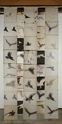 catherineeatonskinner_kyugeeiv_birdscree100705.jpg