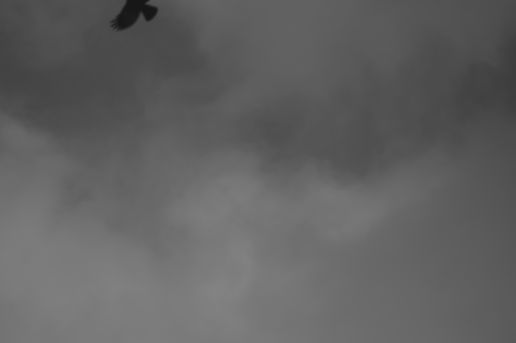 DSC_1346.jpeg