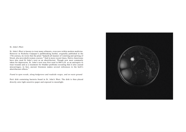 Screenshot 2022-04-24 at 09.30.35.png