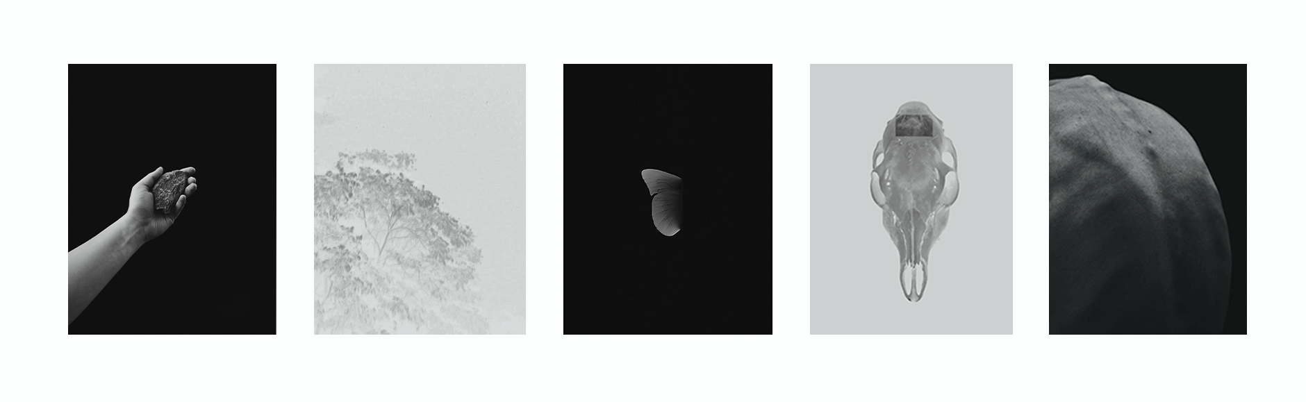 Untitled-6.gif