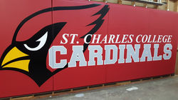 Hand painted school logos