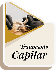 CAPILAR (1).png