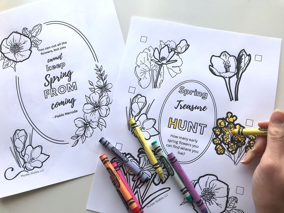 Thumbnail: Printable Spring Coloring Pages