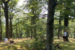 Geist und Seele der Landschaft - Seminar 08_edited