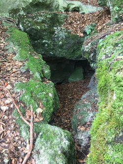 Kraft des Ortes - Orte der Kraft | Seminar und Exkursion zu Kraftorten im August 2021 | Raum und Men