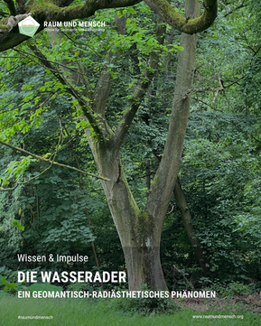 Die Wasserader – ein geomantisch-radiästhetisches Phänomen