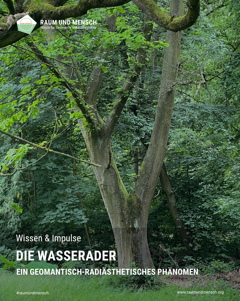 Die Wasserader – ein geomantisch-radiästhetisches Phänomen