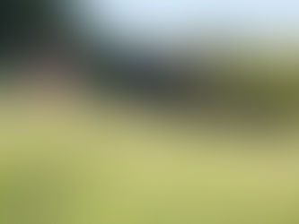 Die Sehnsucht nach der Natur