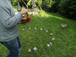 Kraft des Ortes - Orte der Kraft | Seminar und Exkursion zu Kraftorten im August 2021 | Raum und Men