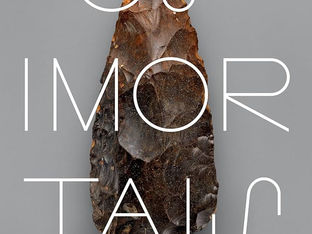Resenha psicanalítica de "Os Imortais" (Paulliny Tort)