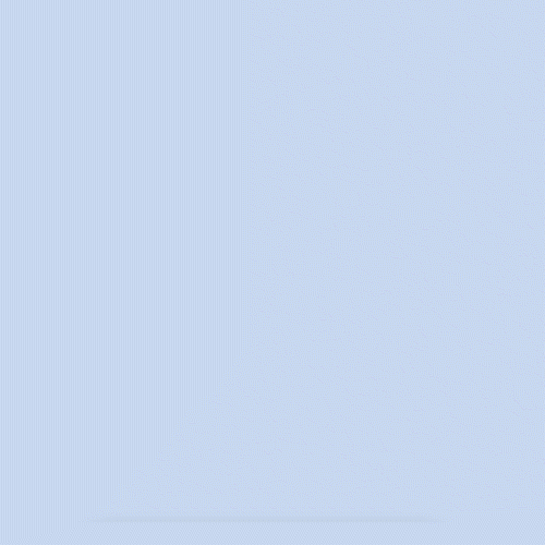 CheckTheDetails_006_2.gif