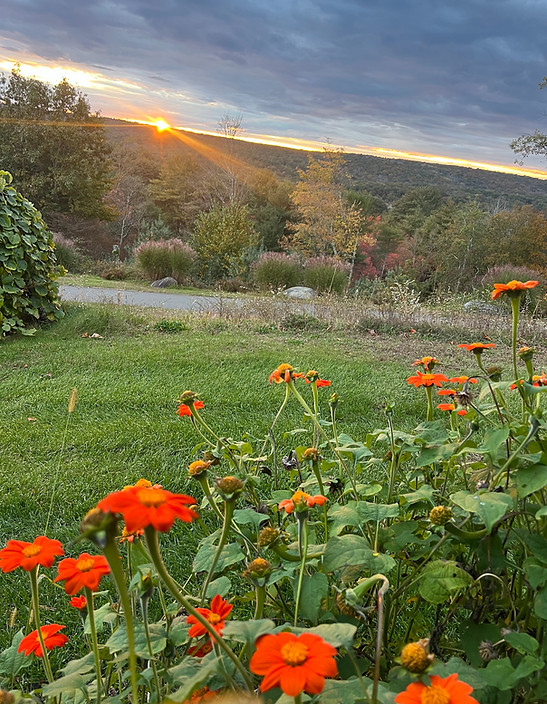 Screenshot 2024-09-23 at 8.16.23 AM.png